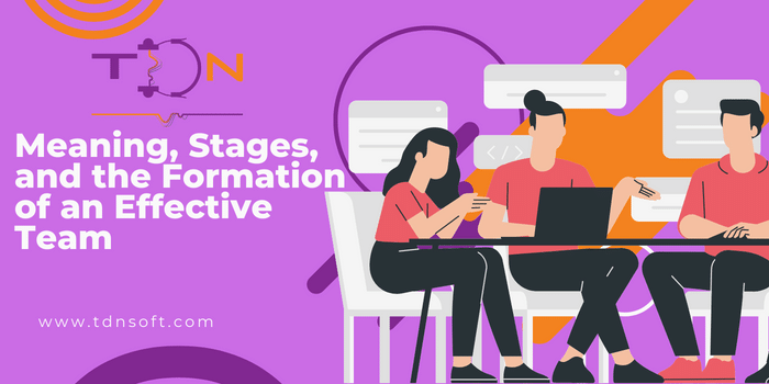Meaning, Stages, and the Formation of an Effective Team